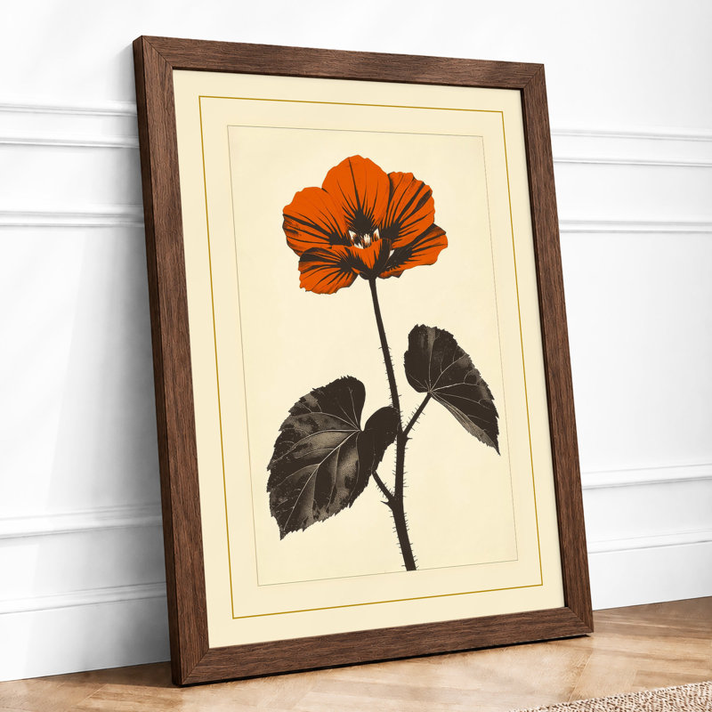 Poppy Study Botanical - Print, Walnut, A1 - 84.1 x 59.4 cm