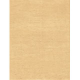 Area Rug in Ginger/Beige