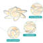 Modern 6-Light 64cm LED Flush Mount-644392235