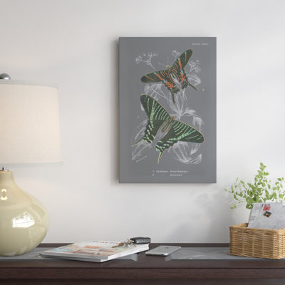 Lepidoptera ii, impression sur toile tendue