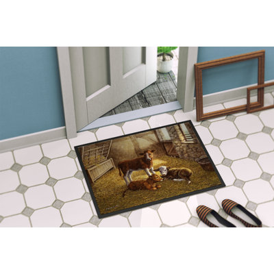 Non-Slip Outdoor Doormat