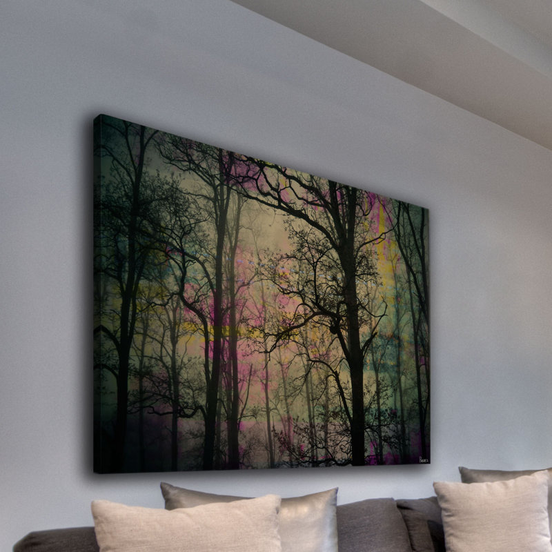 Parvez Taj - Wrapped Canvas Print, 41cm H x 61cm W x 5cm D