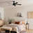 Lucian II 52'' Ceiling Fan