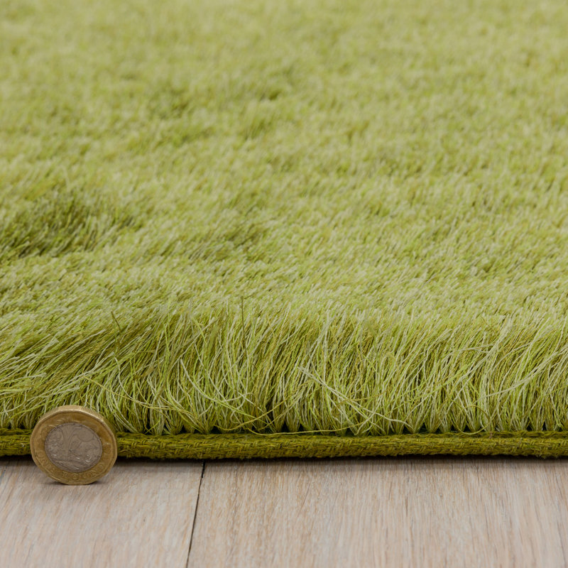 Makaila Silky Shaggy Apple Area Rug, Rectangle 140 x 200cm