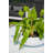 Burdetta Handmade Pot Planter