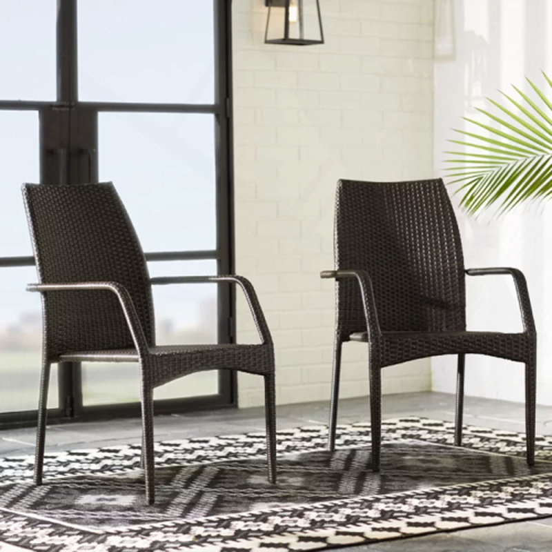 Ensemble de 2 chaises d'extérieur en osier