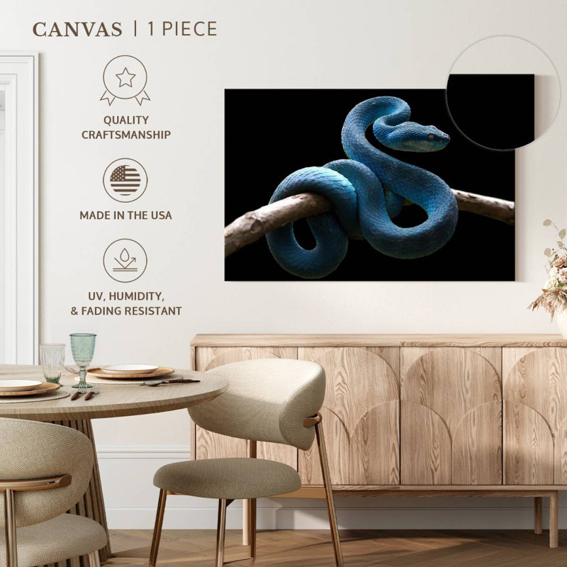 Brampt Blue Viper Snake, 8" H x 12" W