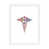 White Paper
