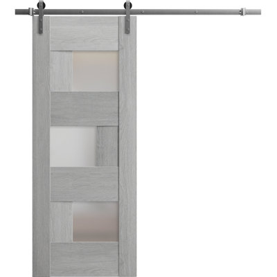 Ensemble de porte de grange robuste en verre givré de 6,6 pi Sete