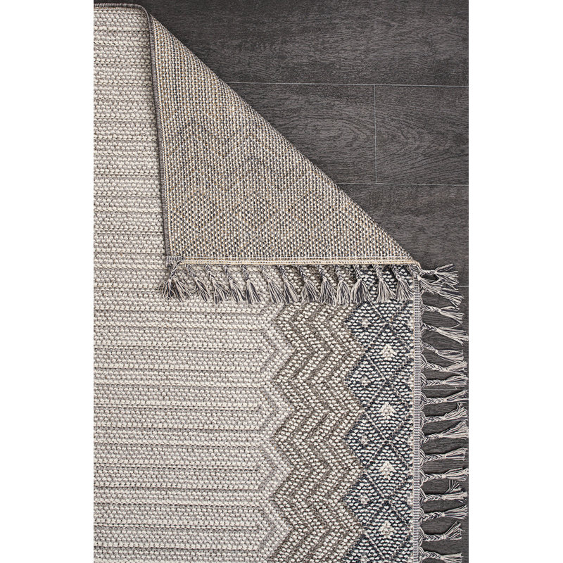 Robbi Geometric and Geometric Shapes Indoor / Outdoor Area Rug, Rectangle 2'8" x 4'11"