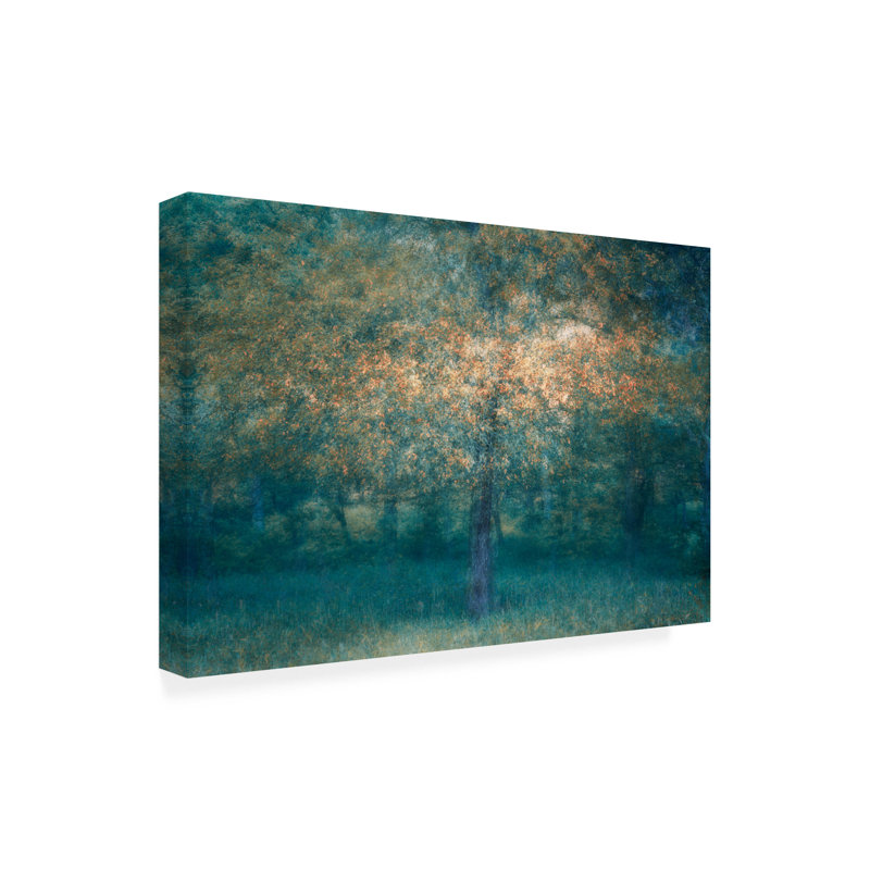 Art sur toile, bolache Masaki Sugita, H 12 po x l 19 po