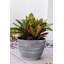 Pot à fleurs Nil-1298637456