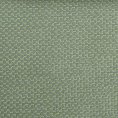 Pavilion Bella-Dura Indoor/Outdoor Wovens V Fabric