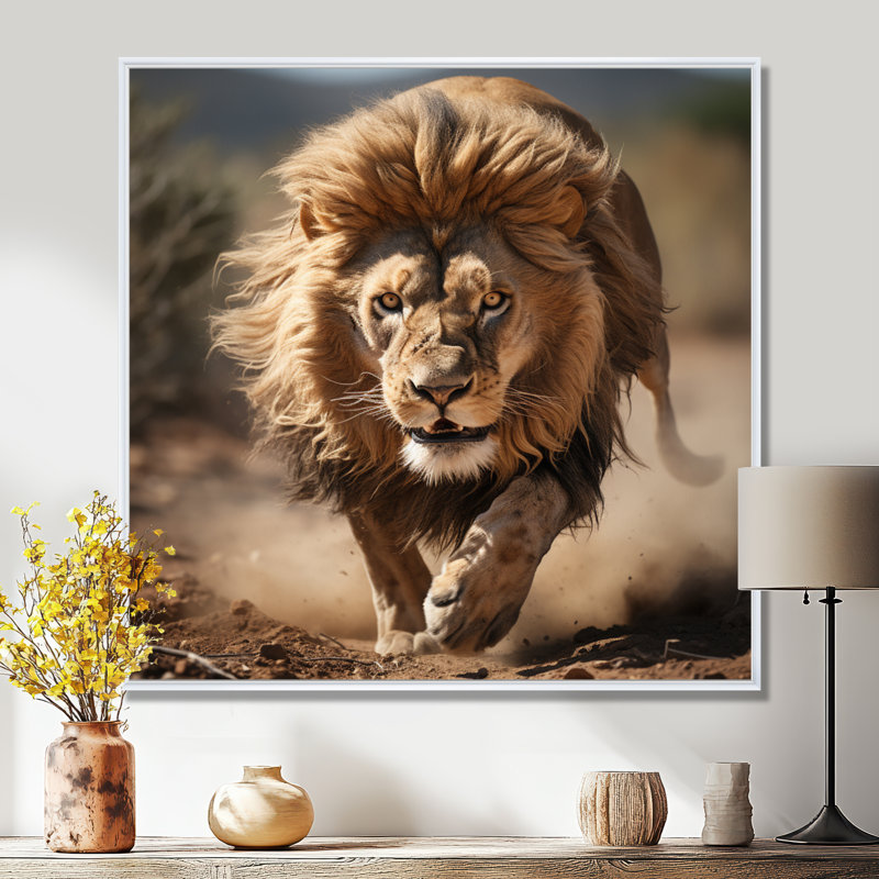 African Lion Running - Lion Wall Art, 44" H x 44" W, White Floater Framed