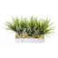 8,25 po plante Yucaa artificielle en pot