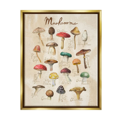 «Vintage Mushroom Types Diagram» par Amylee Week, impression