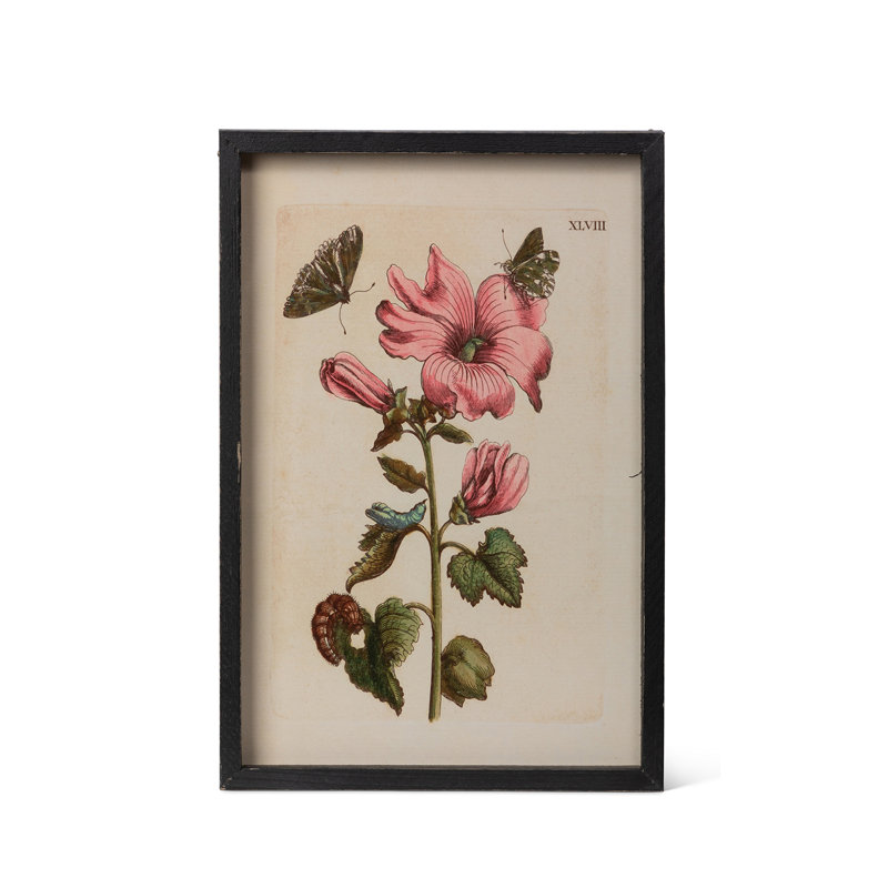 Jardin Boheme Botanical Prints