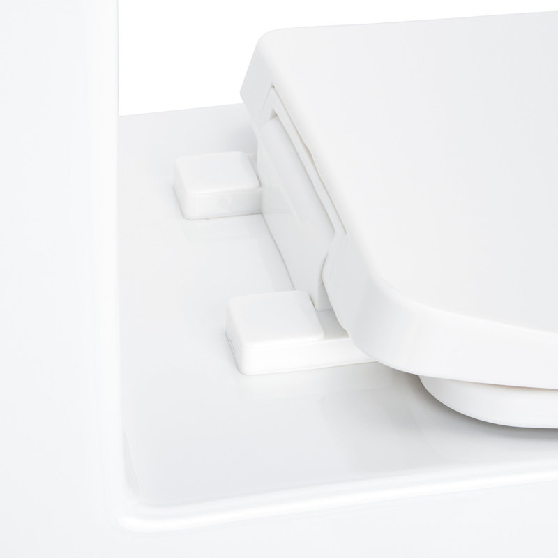 Carraway 1.28 GPF One Piece Elongated Chair Height Toilet