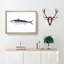 Mackerel Fish by Edward Donovan - Picture Frame Painting Print on MDF-55577213-55577212