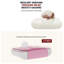 Chaise de bureau rose-231023118-231023109