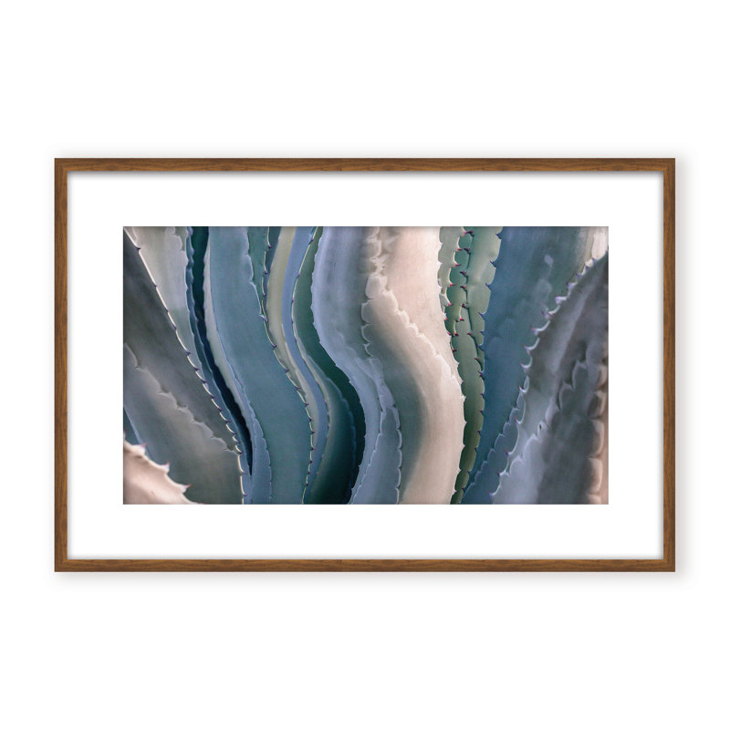 Nature Inspired Sonoma Summertime Roadside Abstract by  - Picture Frame Photograph on Paper, 24" H x 36" W x 1.125" D, Beige