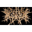 Lustre 8 lumières en brun clair Daniels-1309680955