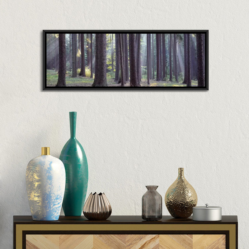 «Trees In The Forest, South Bohemia, République Tcheque # 2» par Panoramic Images - Reproduction giclée sur toile panoramique