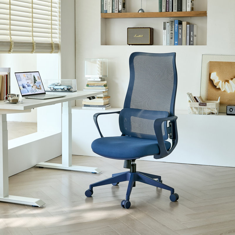 High Back Ergonomic Mesh Office Chair with Adjustable Lumbar Support, Rocking Function, Swivel Task Chair for Home Office, Computer Desk & Study Room