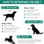 Cage pour chien avec tiroirs Frome 2-en-1