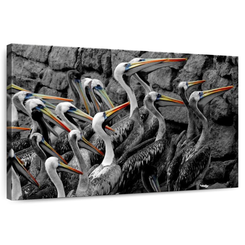 Crowle Pelican Pod Pop, 34" H x 51" W