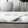 Collenn Diamond Stripe Geometric Shag White/Gray Rug