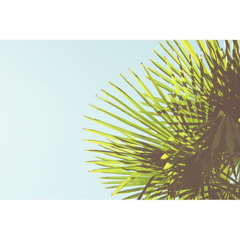 Sunny Palms II by Sonja Quintero - Photograph Print, 81cm H x 122cm W, Wrapped Canvas