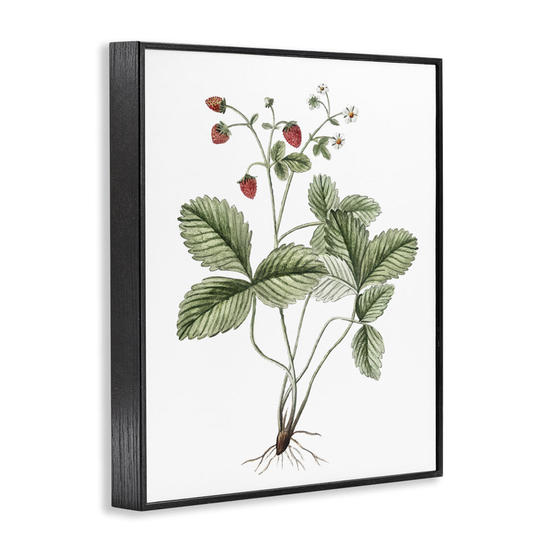 Étude de fraises en herbe par lettrage et doublure, Giclée encadrée noir minuit, H 30 po x l 24 po