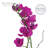 Faux Silk Orchid Arrangement in Vase-64581342