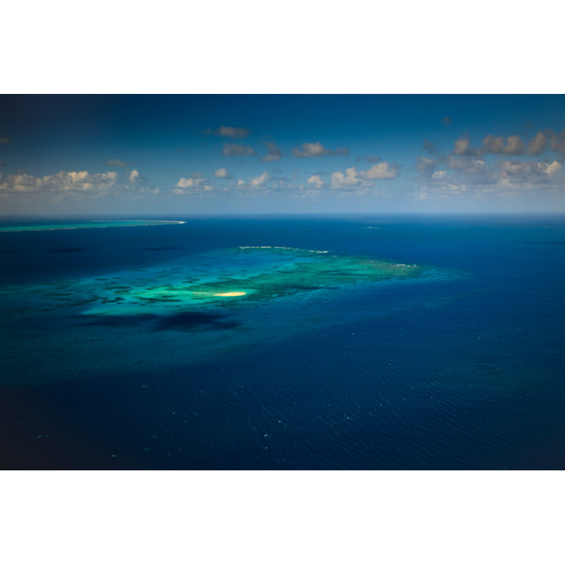 Coral Sea by Pniesen - Wrapped Canvas Print, 30cm H x 46cm W