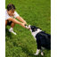 Falcon Hybrid Feeder/Toy-1314684357