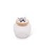 Olive Grove Glass Jar-454354654