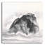 " Solitary Rock " by Chris Paschke-1214278679