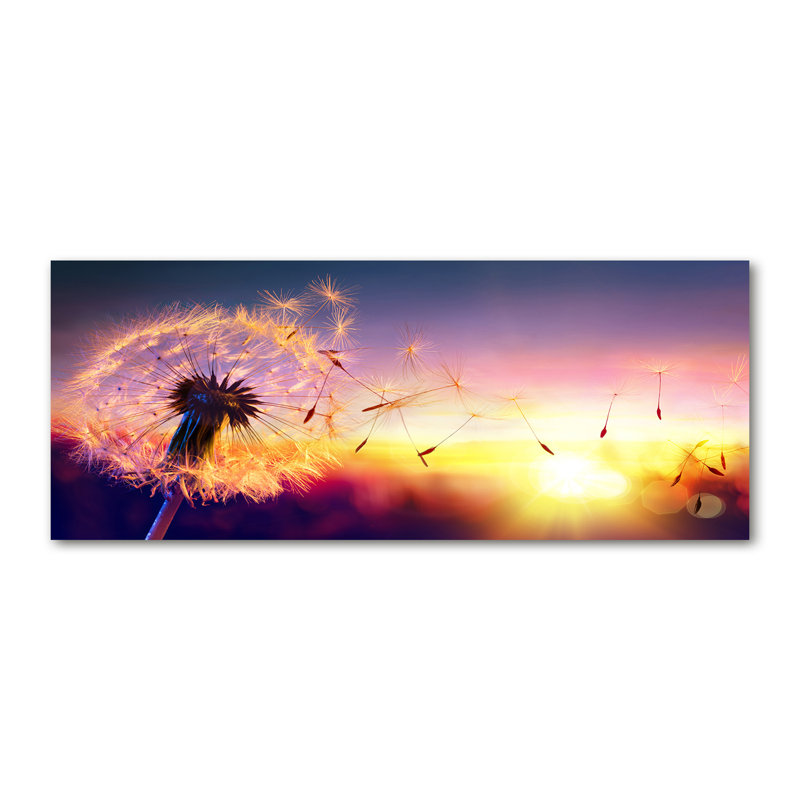 Dandelion - No Frame Print on Glass, Canvas, 50cm H x 125cm W x 2cm D