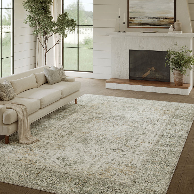 Elaine Machine Washable Area Rugs For Living Room With Non-Slip Backing, Rectangle 9' x 12'