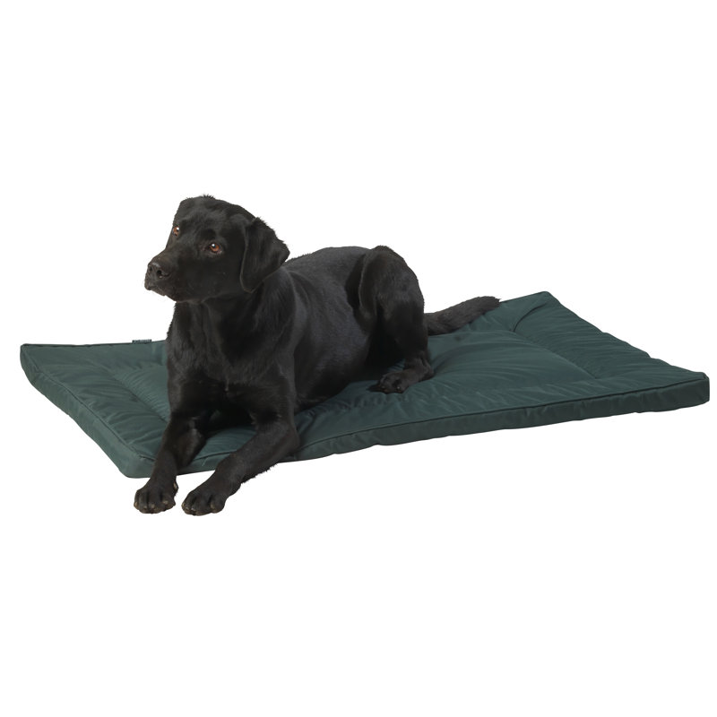 Luka Pet Bed, Large (5cm H x 59cm W x 82cm D)