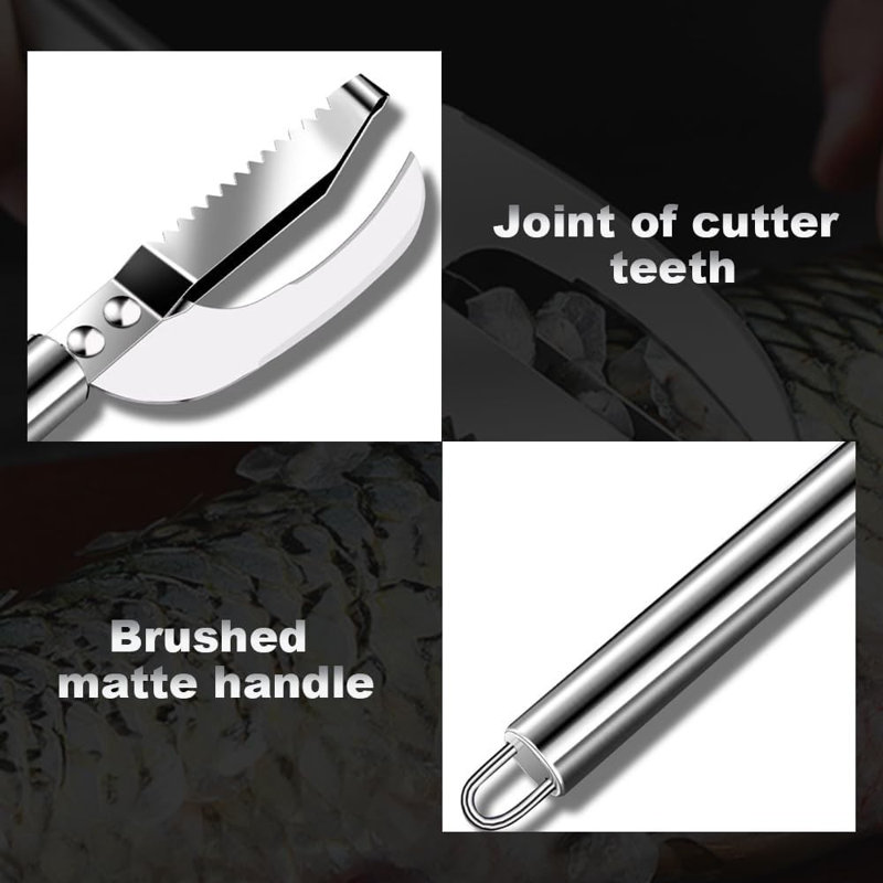 Descaling device Stainless Steel Flake Scraper Multifunctional Kitchen Household Scraper Flake Tool