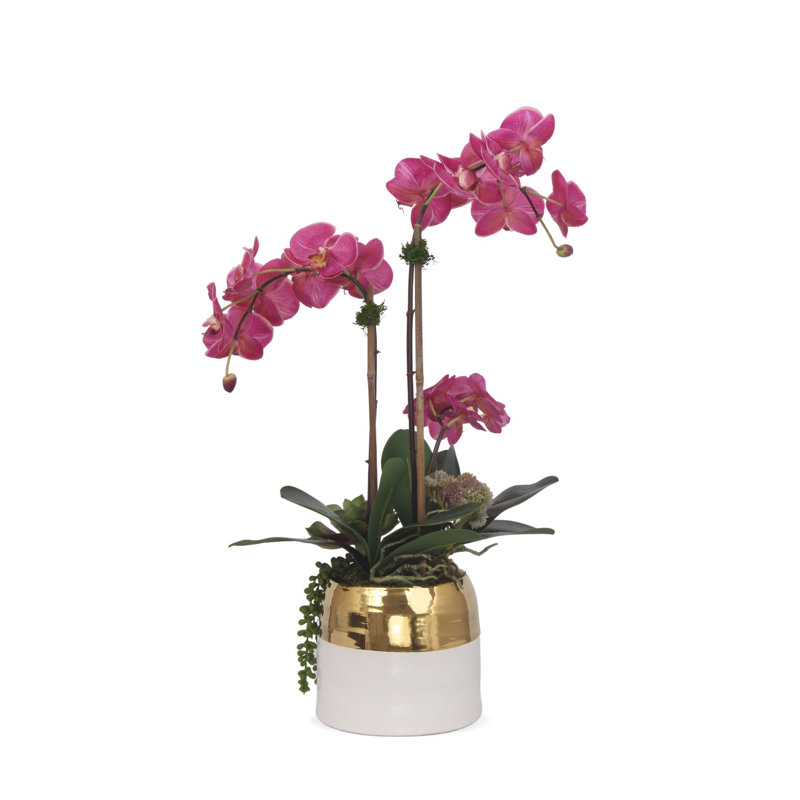 Silk Orchid Arrangement in Pot