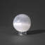 Cloche Or Water Globe