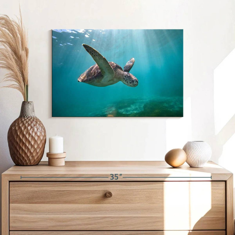 Tortue de mer Brampt Martinique, H 16 po x l 24 po