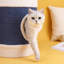 3 Tiers Cat Tree with Condons,Perch,Scratching Posts