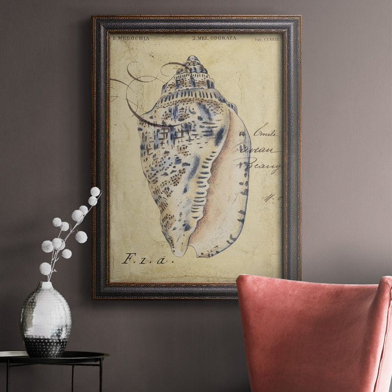 Seashell Ephemera I, toile encadrée de qualité supérieure - prête à être accrochée, H 20 po x l 16 po x P 2,5 po
