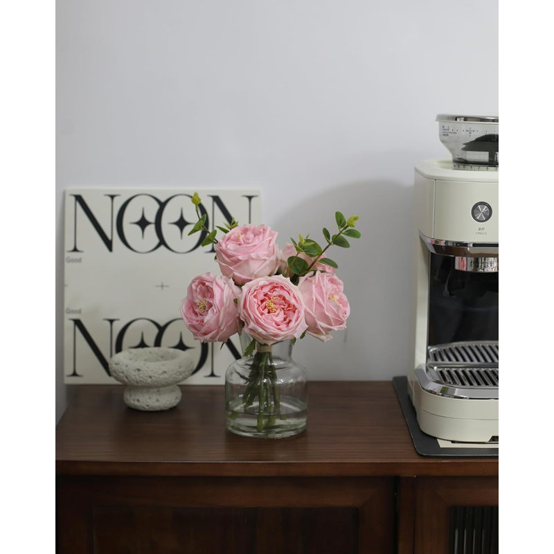 Plante de 13 po, Rose