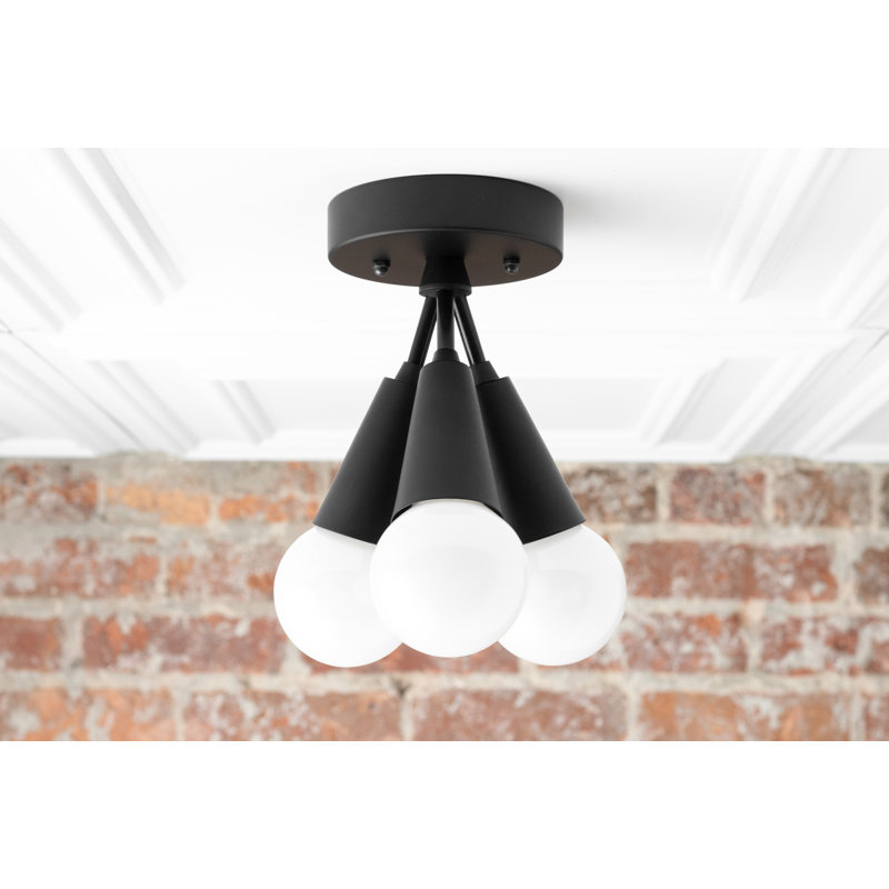 Demelza Spotlight, Black