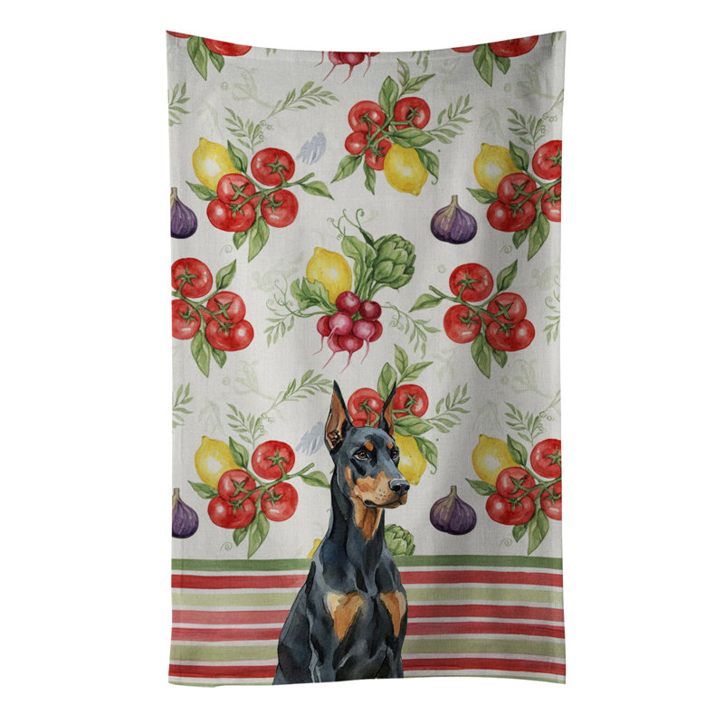 Torchon Doberman Pinscher, Doberman pinscher